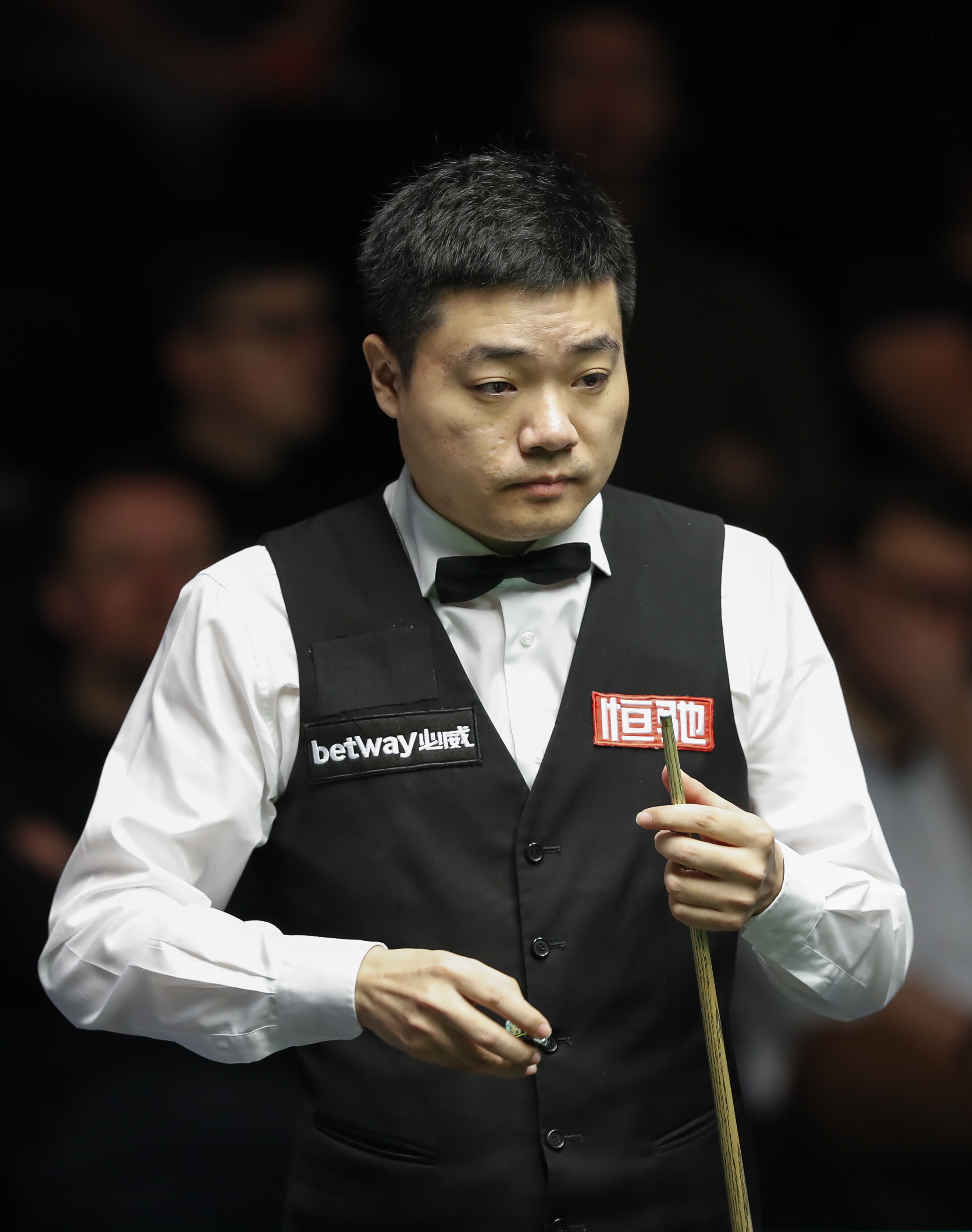 的任何动向 的任何动向